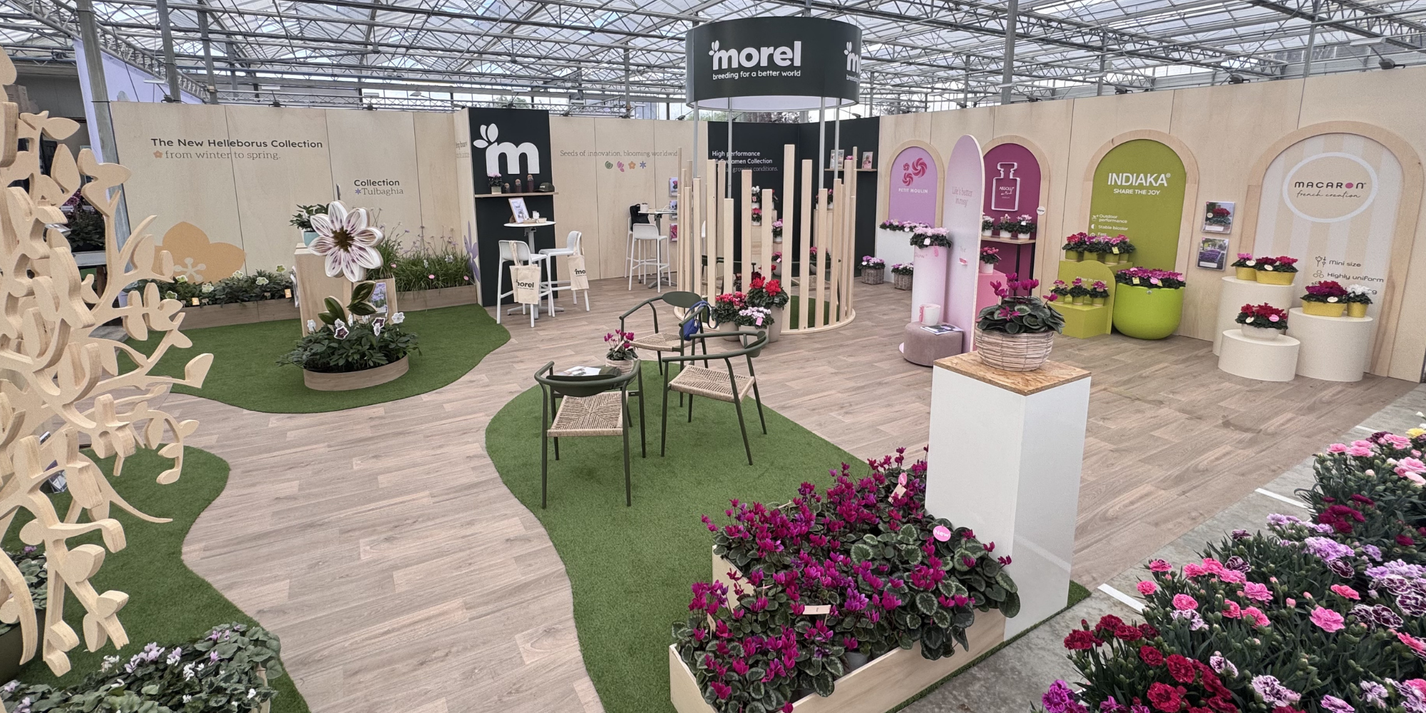 FlowerTrials® 2026: Thank you for joining us in the Netherlands