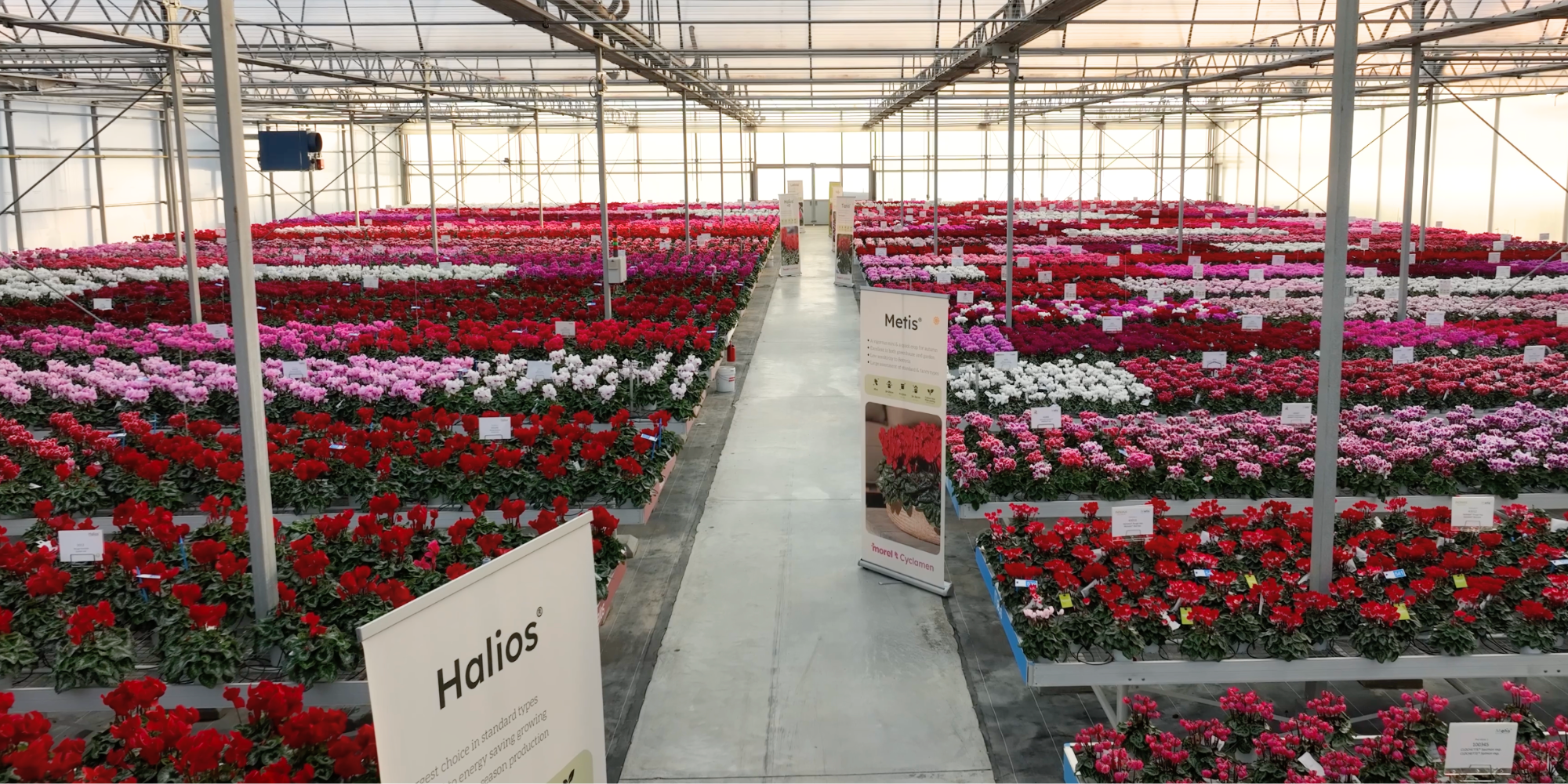 2025 Open Days Recap