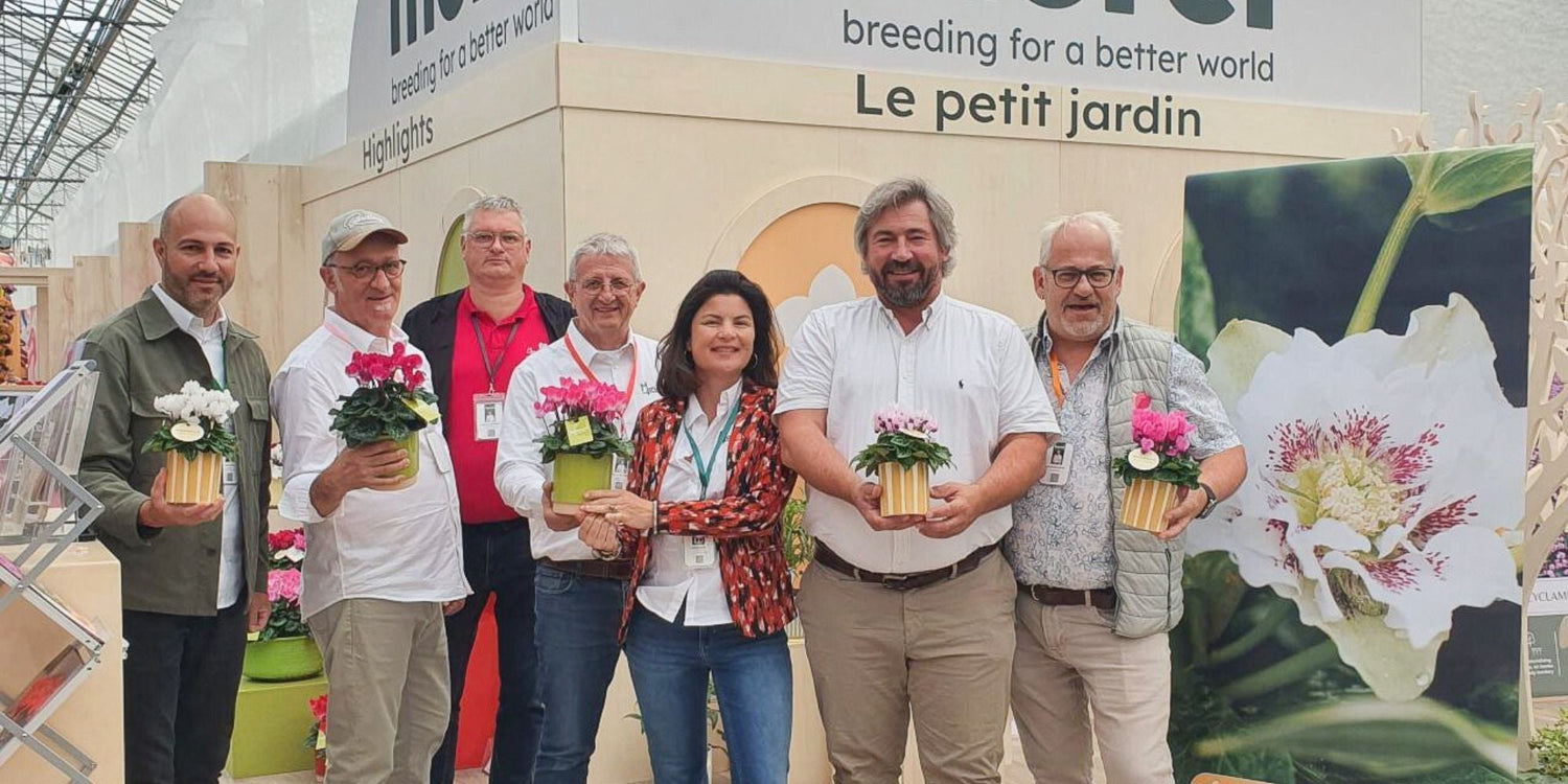 Meet the Morel Team at Flower Trials Holland 2025