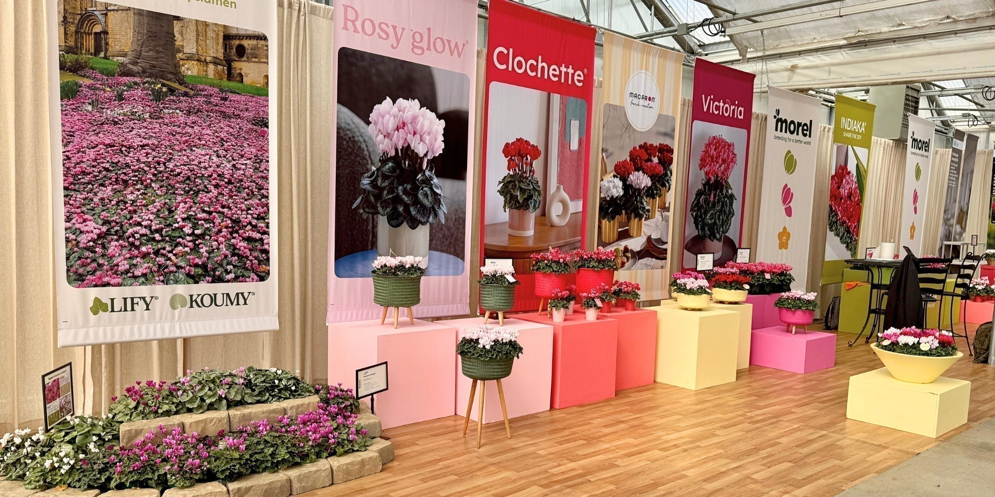 Morel Flowers at CAST 2026