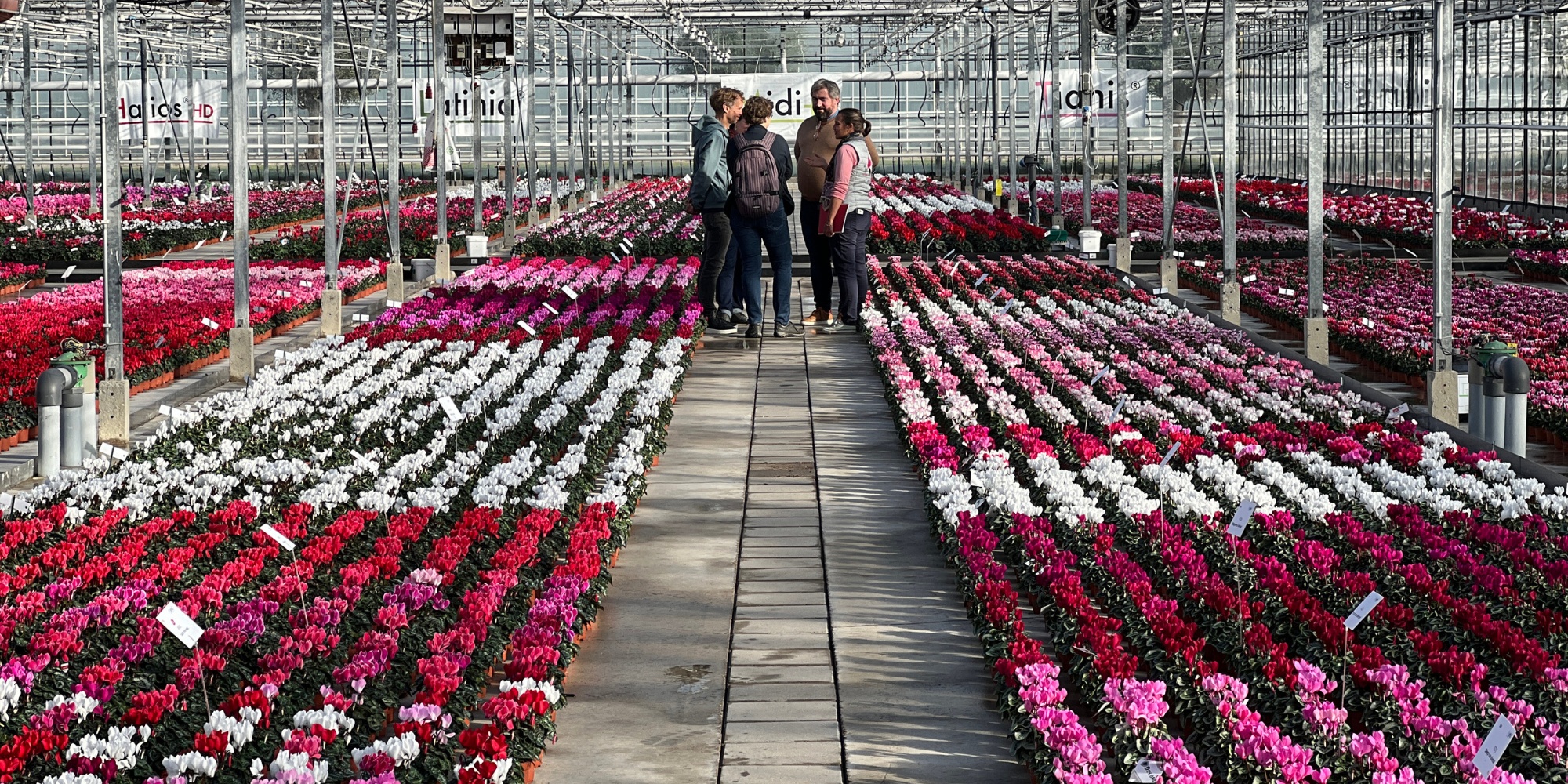 Our 2025–26 Events Calendar: Where to meet us around the world