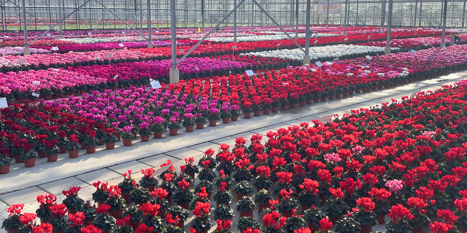 You’re Invited: Discover the Morel Trials This Autumn!