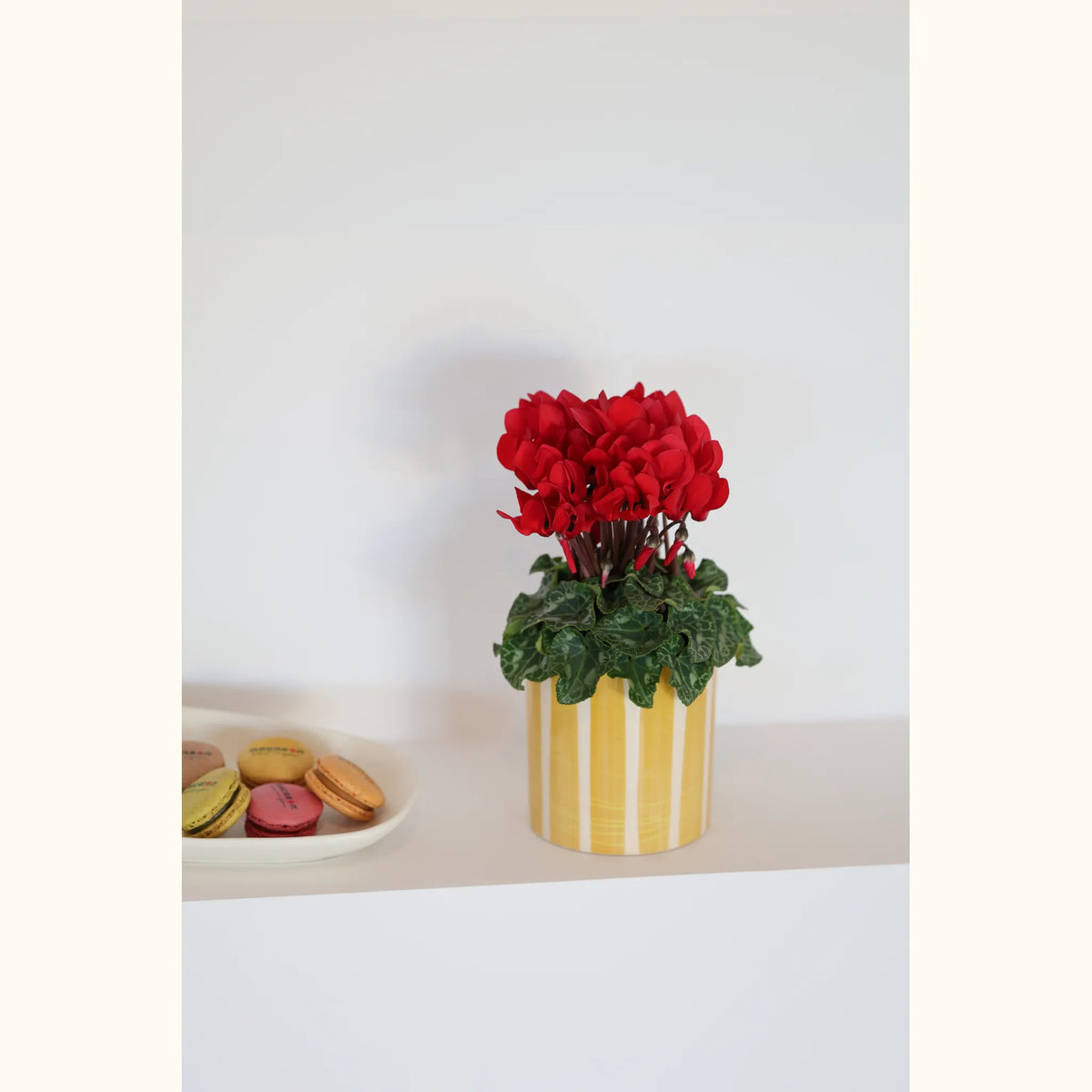 CYCL_100121_img_lstyle_01@aurelle.lphotographe-177.jpg
