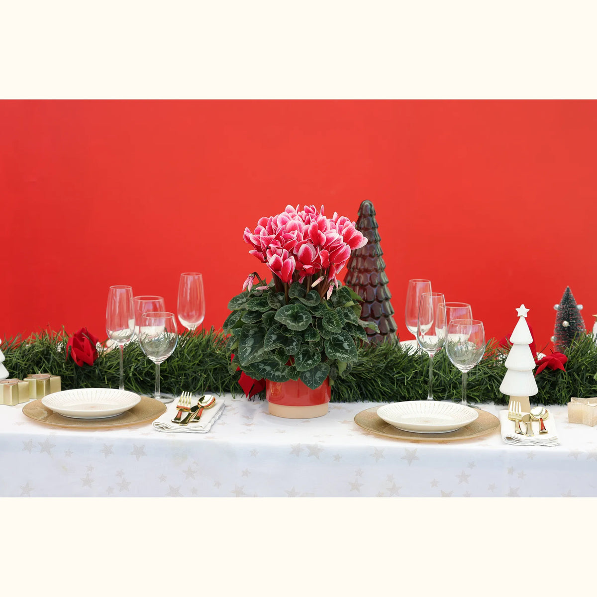 CYCL_100125_img_lstyle_@aurelle.lphotographe-360.jpg