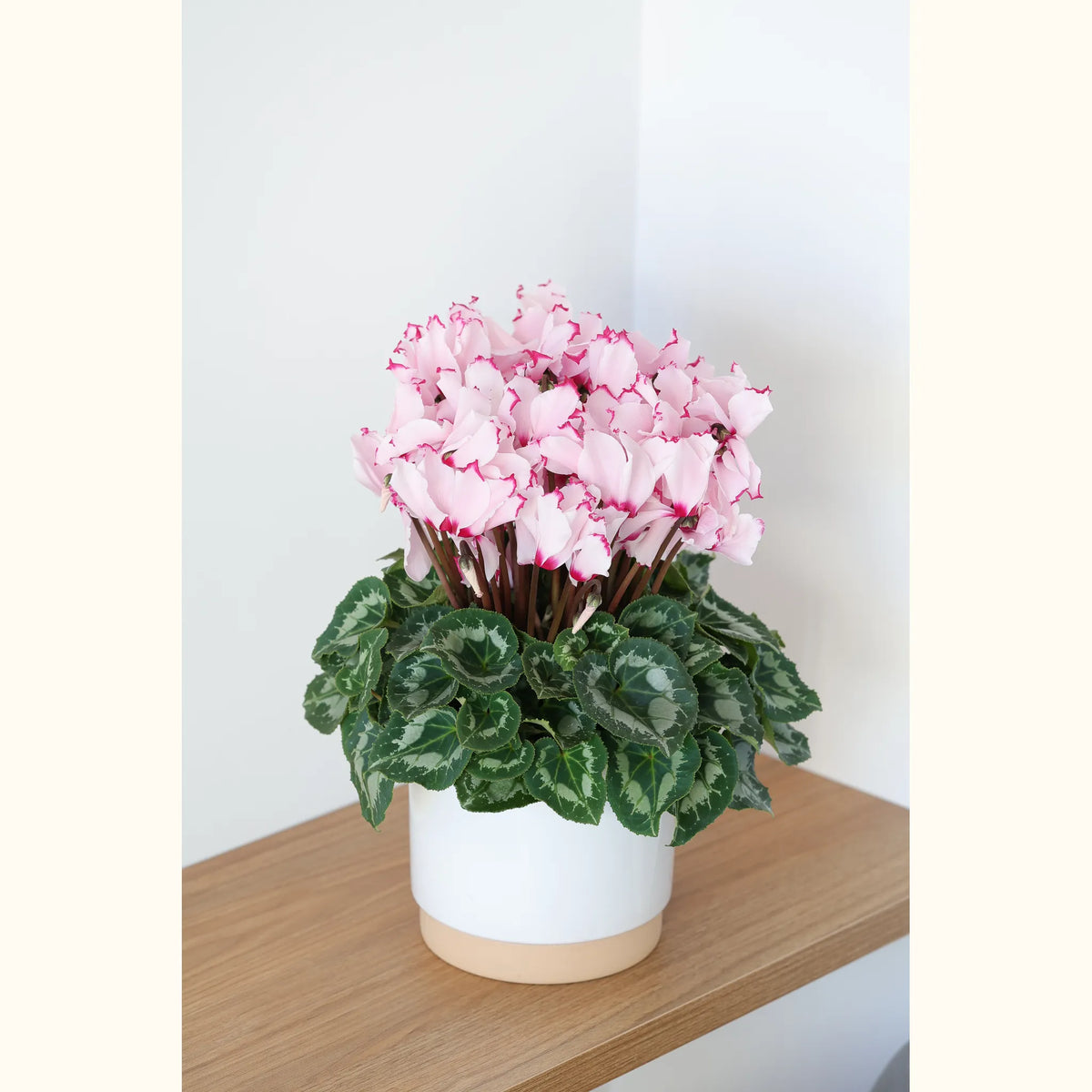 CYCL_100334_img_lstyle_@aurelle.lphotographe-17.jpg