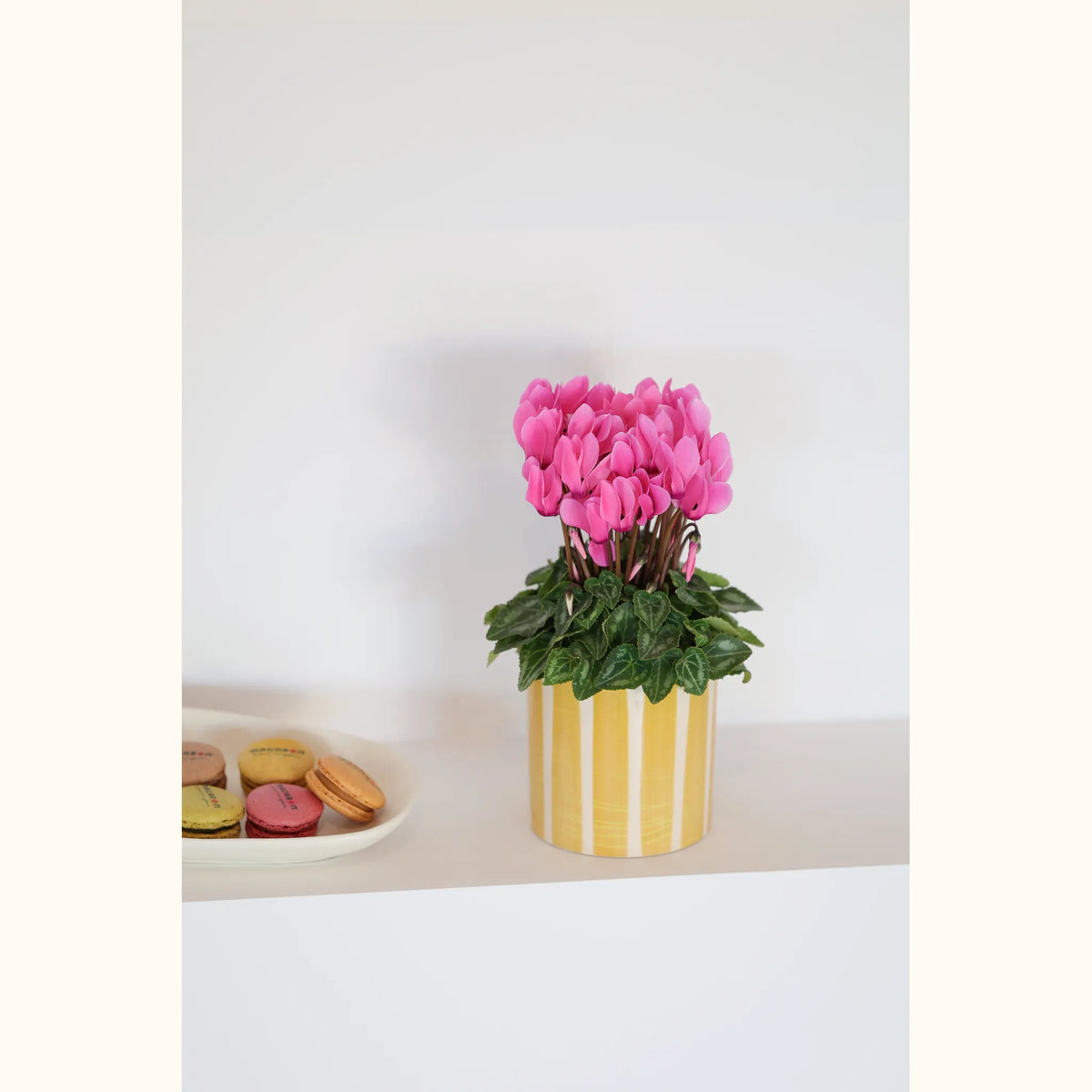 CYCL_100555_img_lstyle_01@aurelle.lphotographe-175.jpg