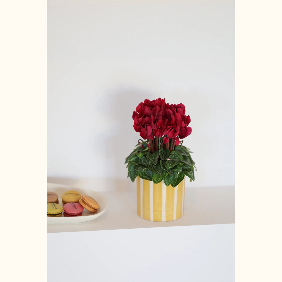 CYCL_100557_img_lstyle_01@aurelle.lphotographe-172.jpg
