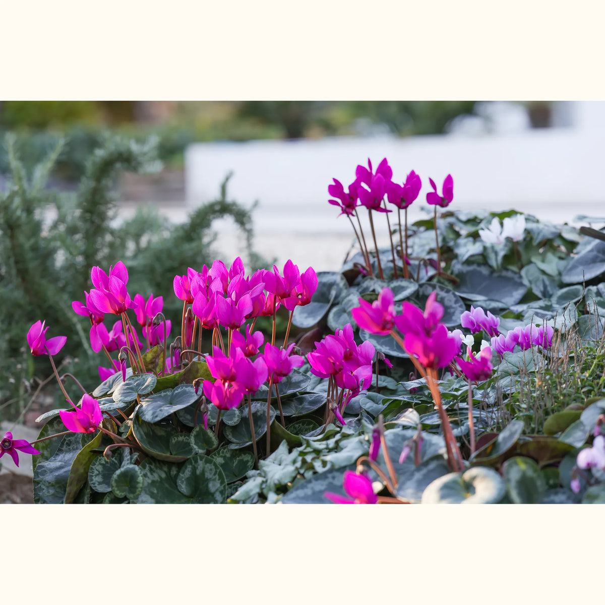 CYCL_101289_img_flow_03@aurelle.lphotographe.jpg