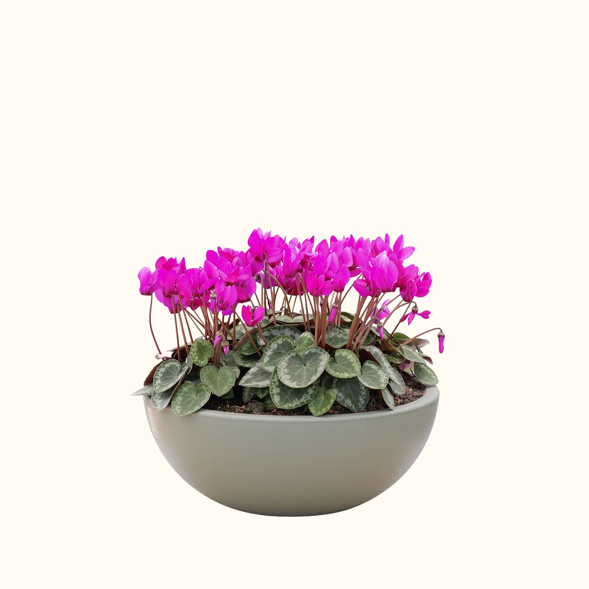 ELIXIA®