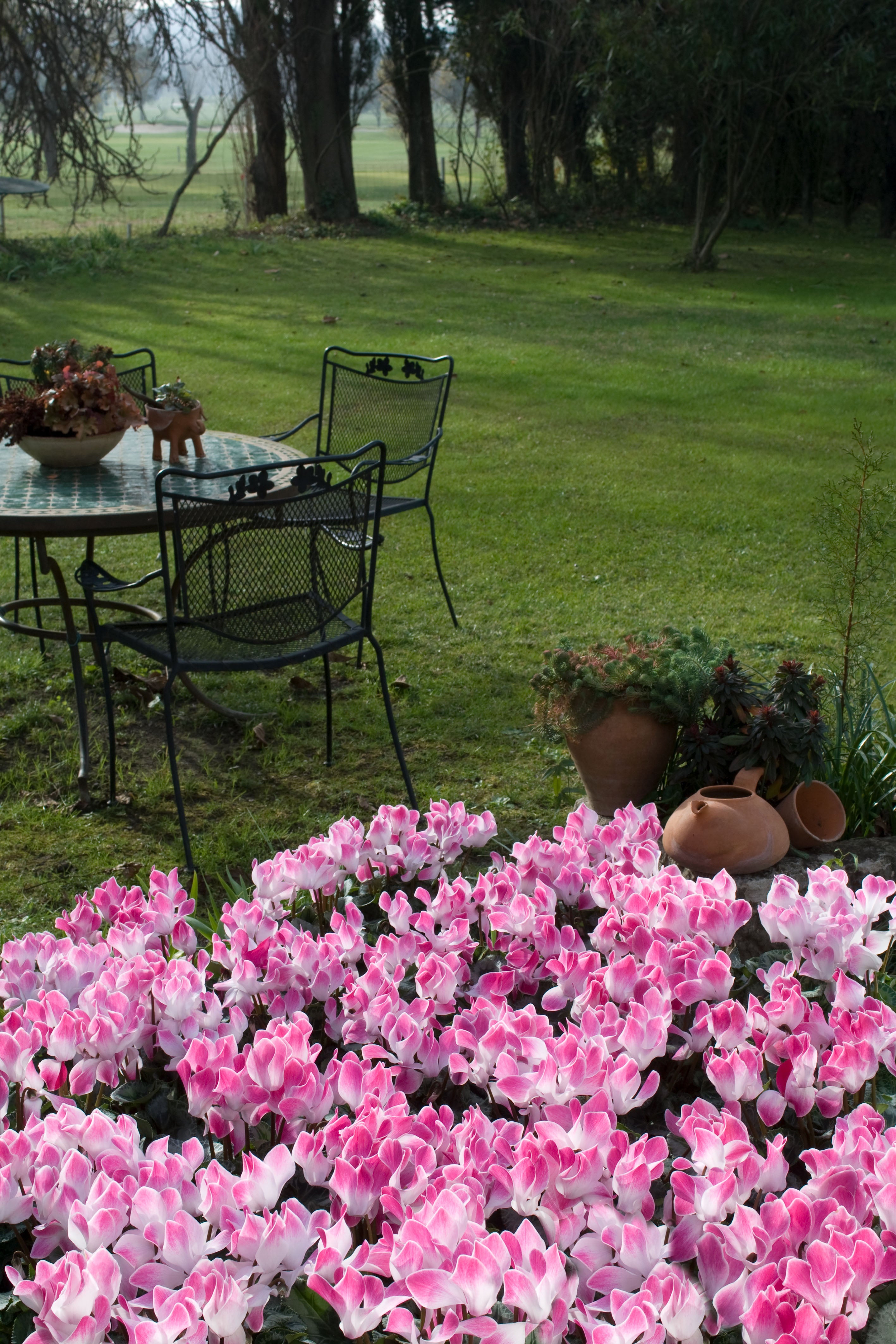 LATINIA® FUNFLAME® Magenta