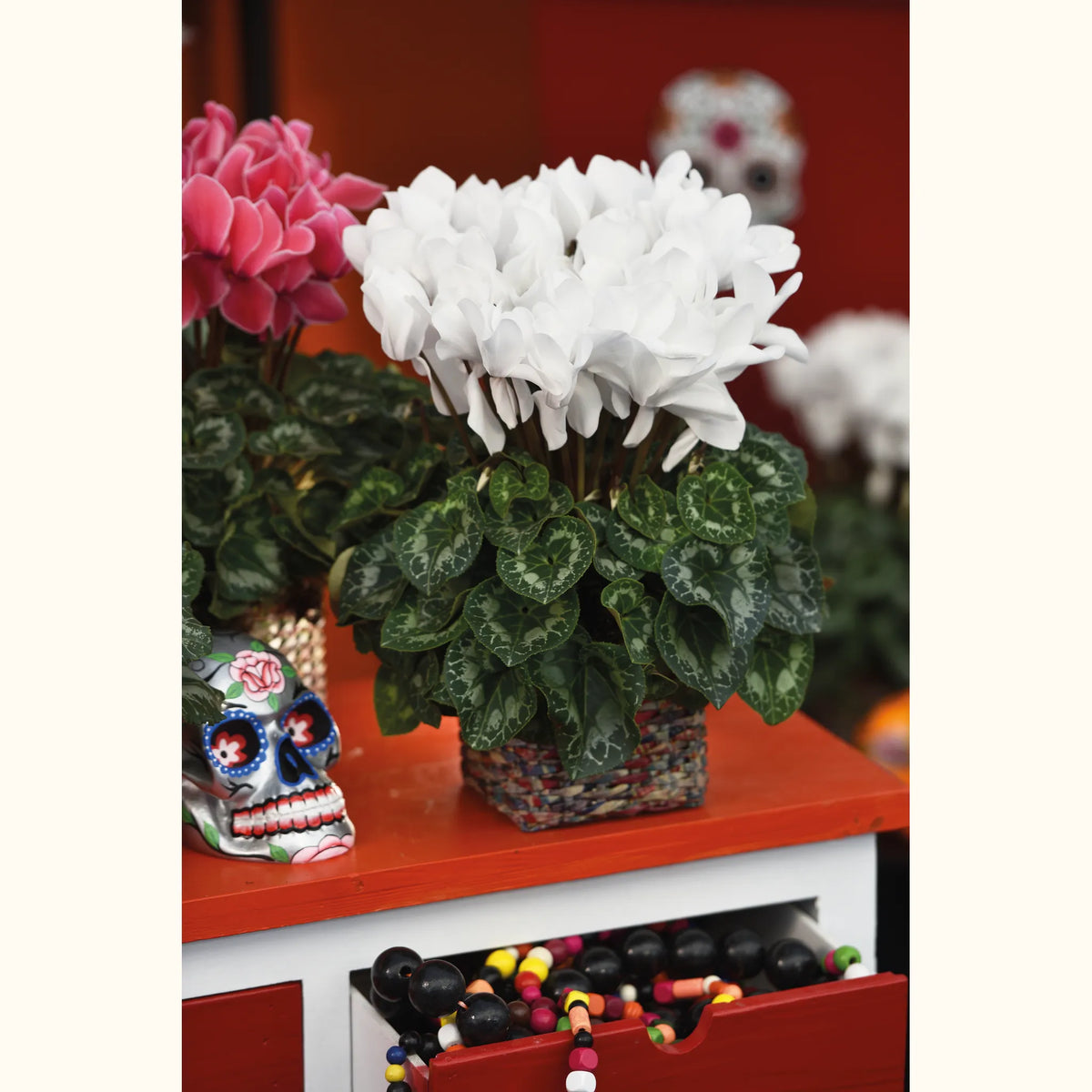 CYCL_2125_img_lstyle_01.jpg