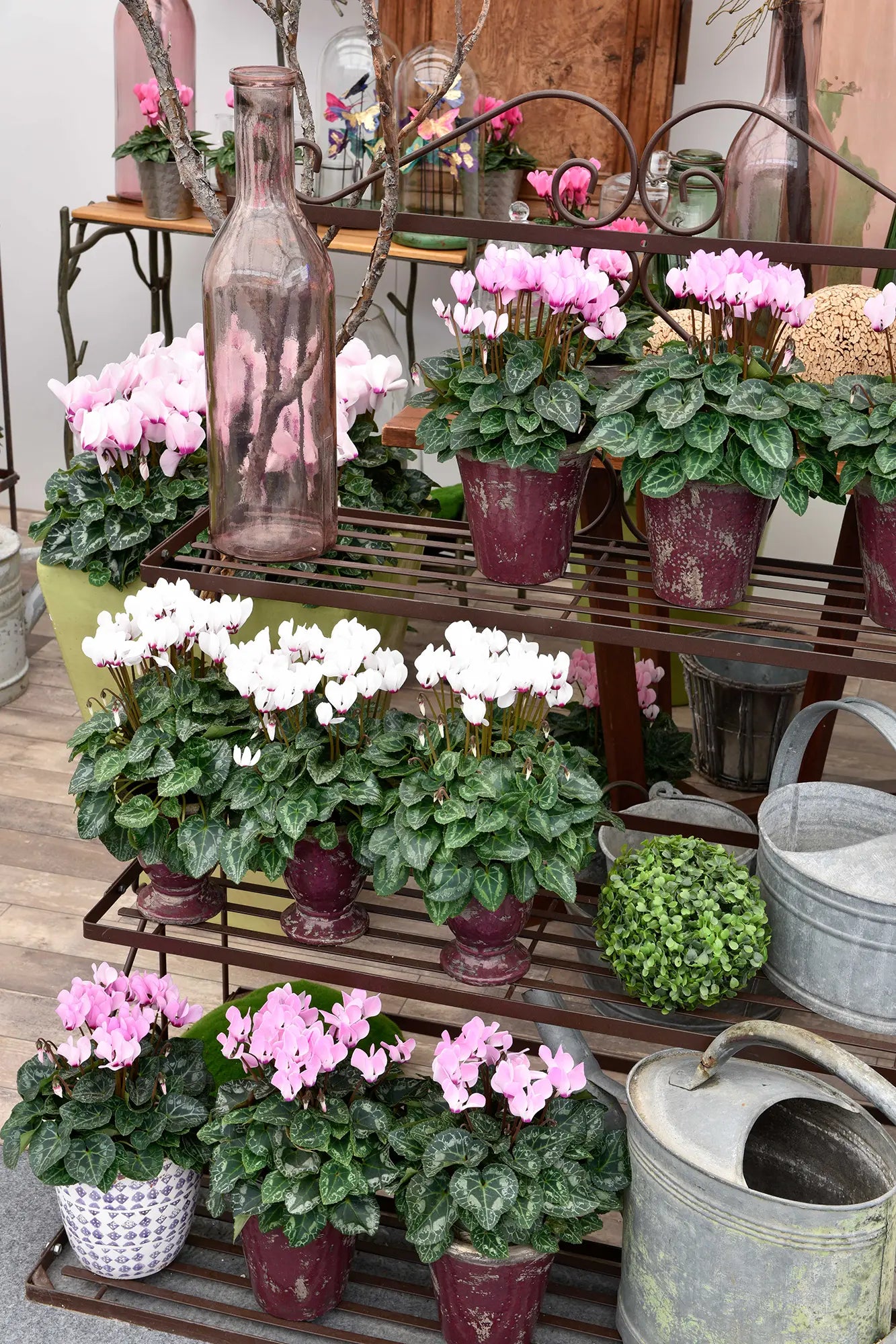 METIS® Lilac shades with eye