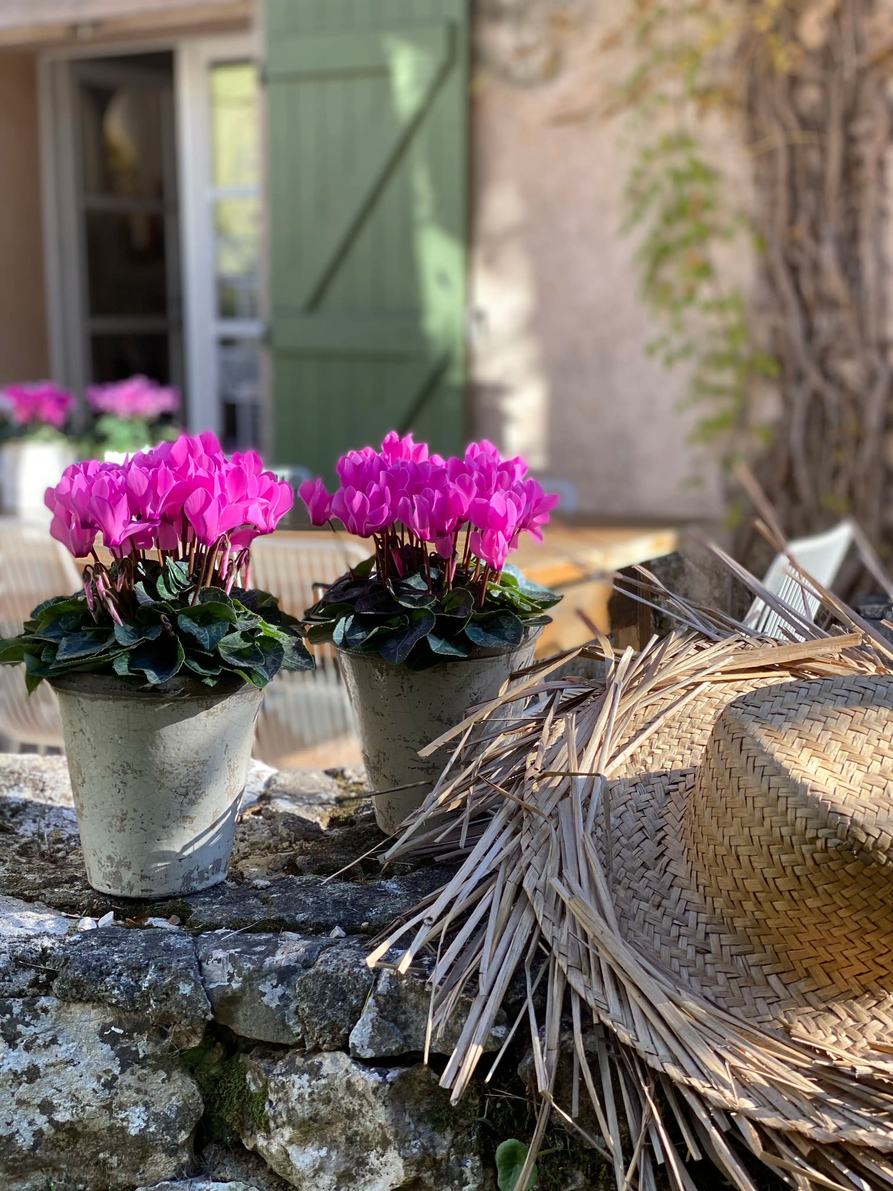 METIS® Light rose