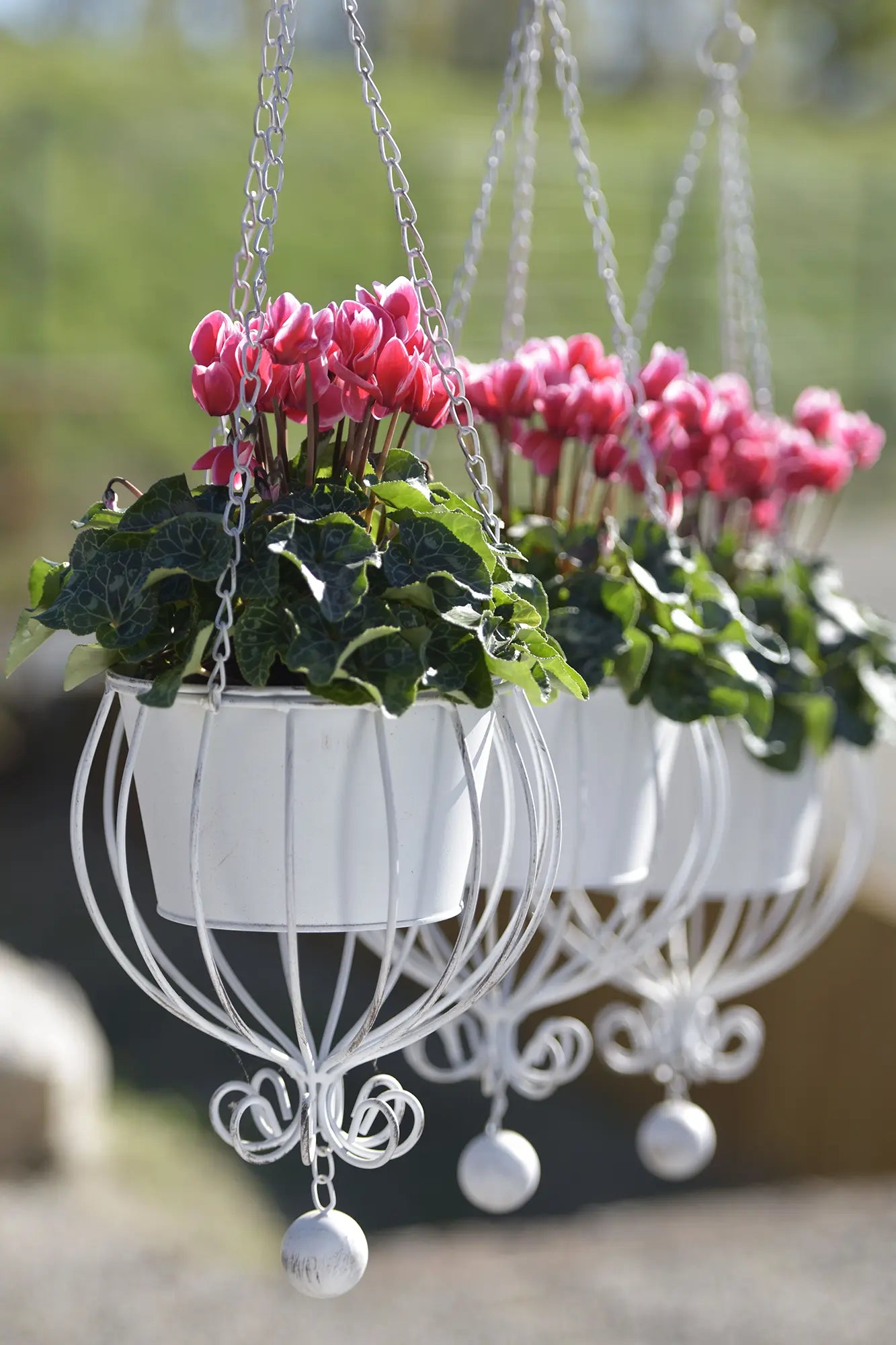 METIS® FANTASIA® Red