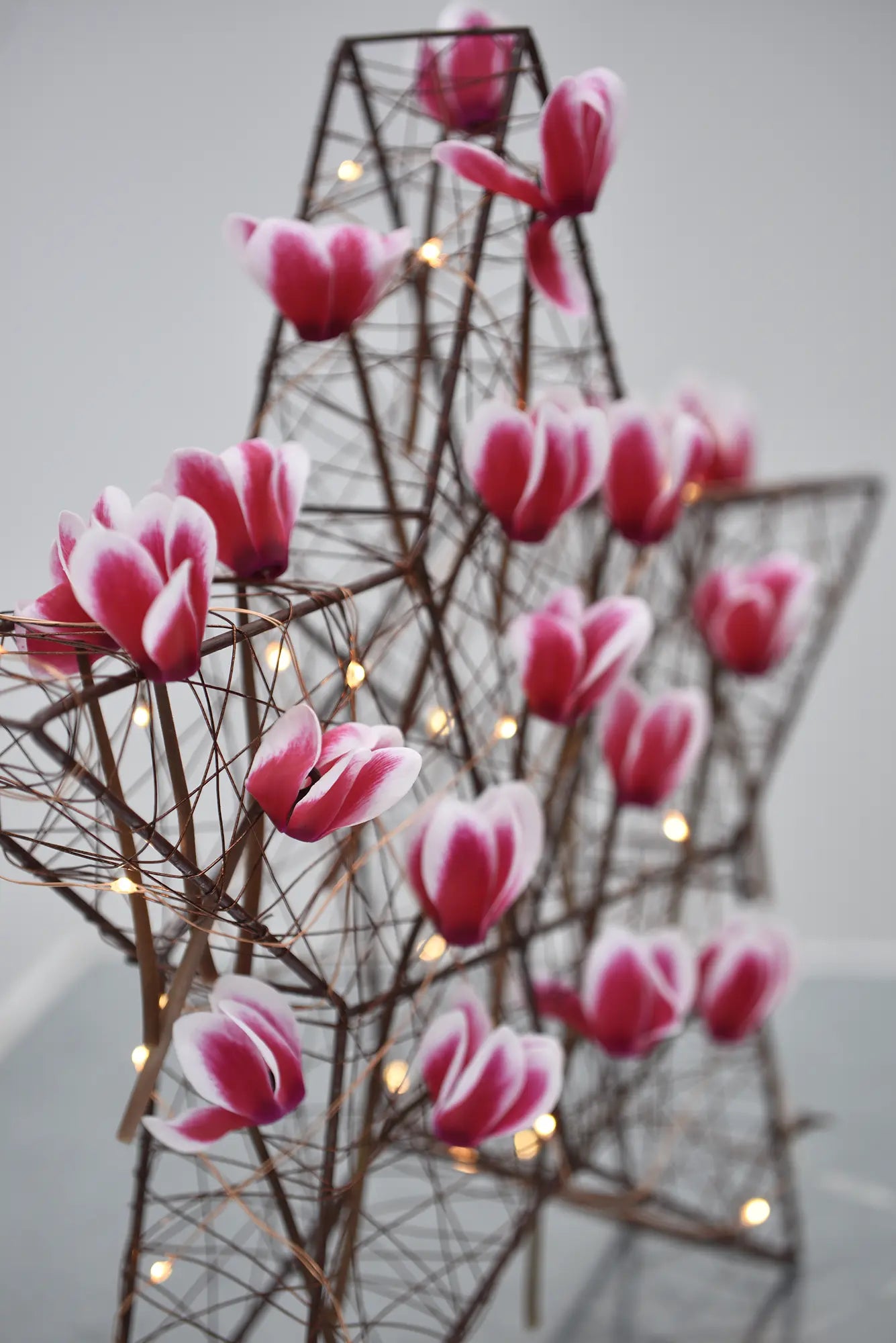 METIS® FANTASIA® ARTIC Red