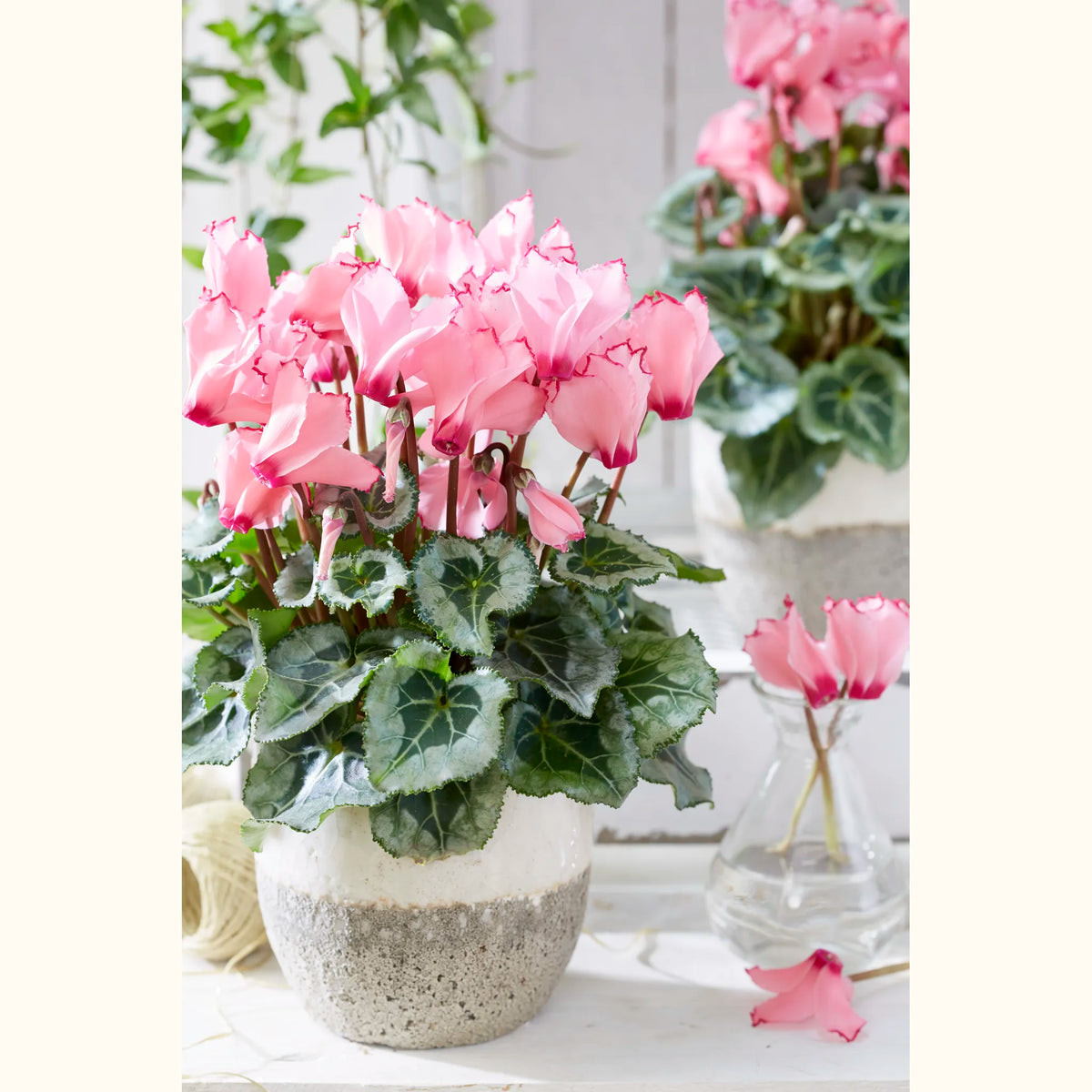 CYCL_4791_img_lstyle_02.jpg