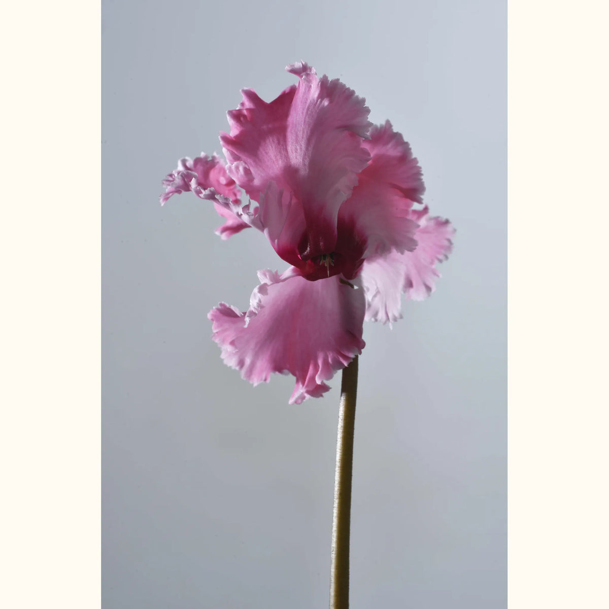 CYCL_48900_img_flow_03.jpg