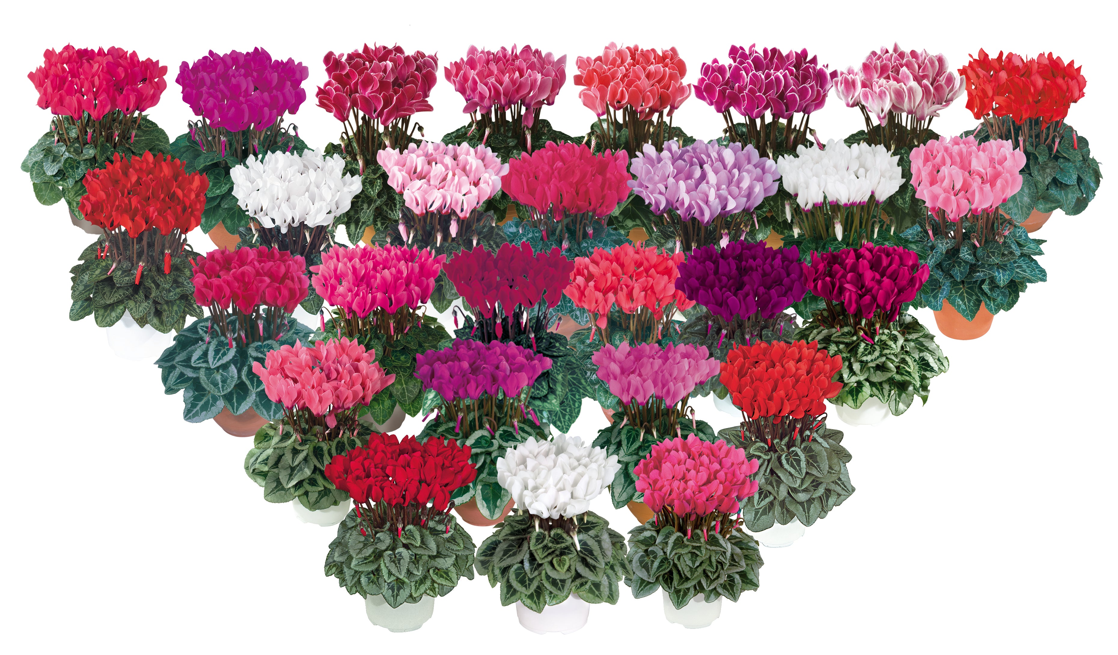 METIS® Mix