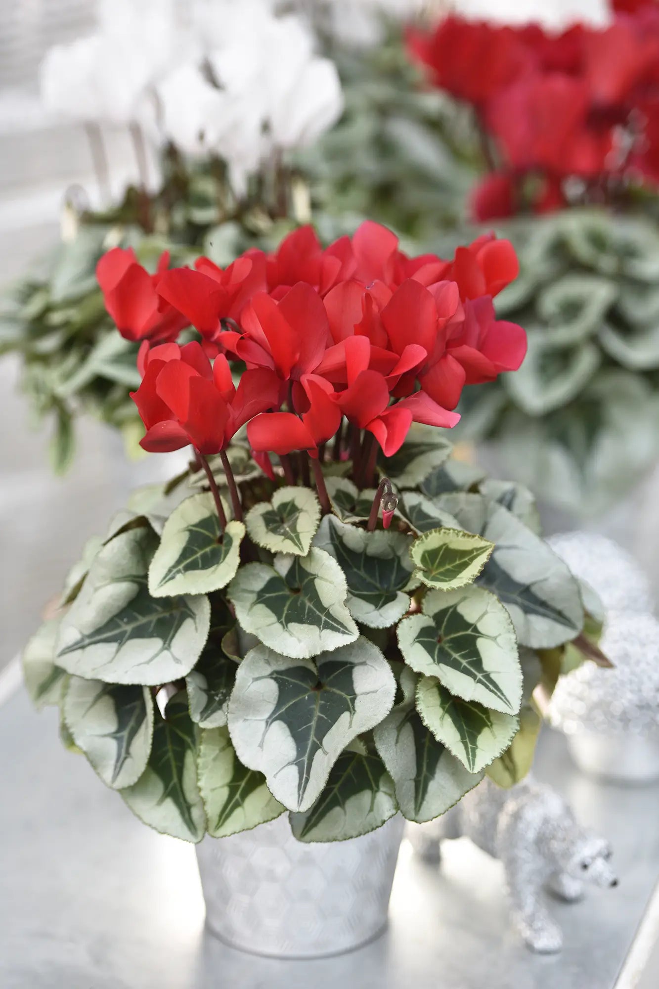 MIDI+® METALIS® Red