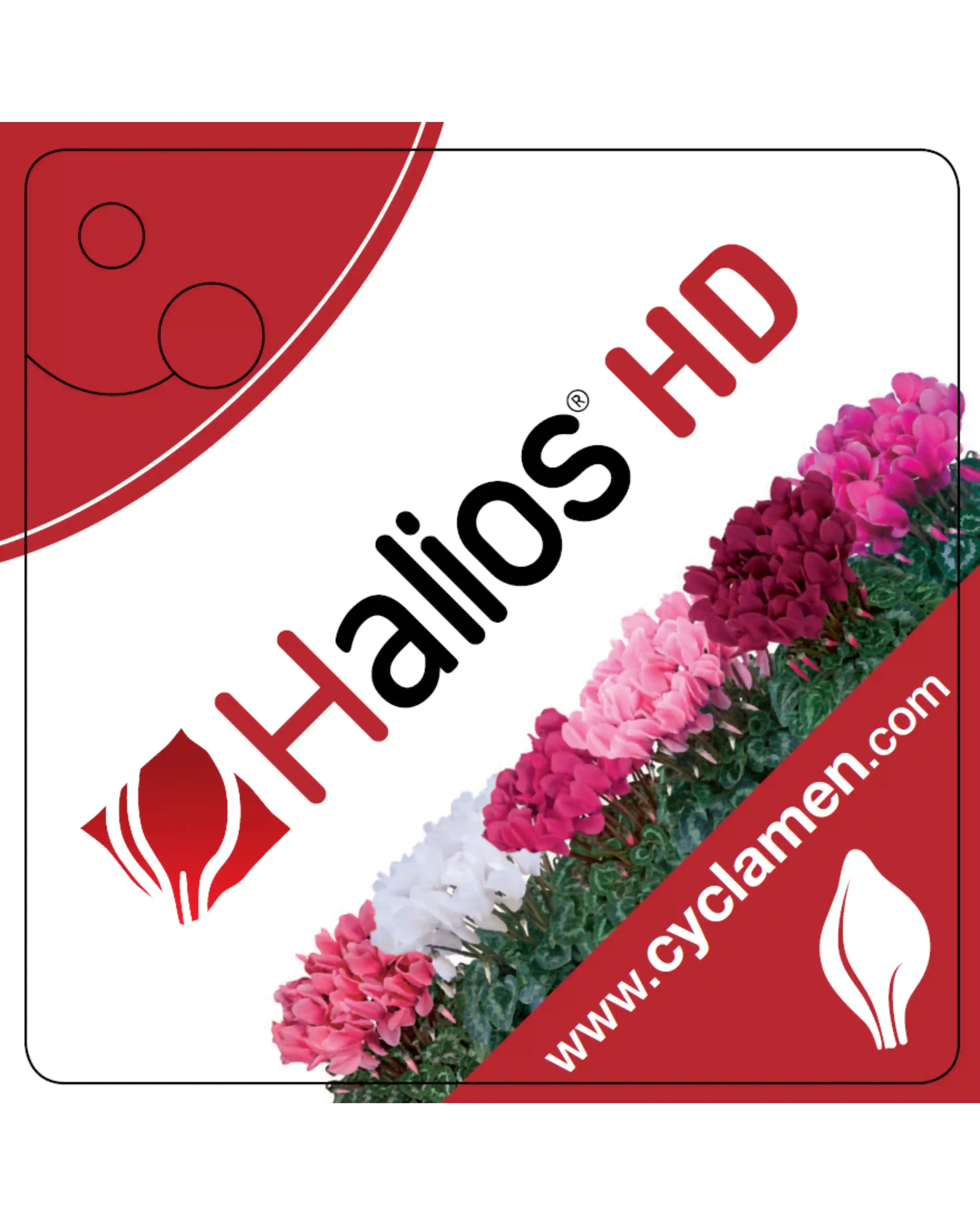 HALIOS® HD Bright scarlet