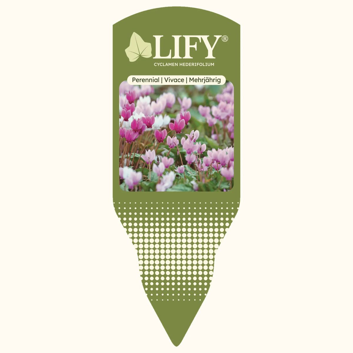 CYCL_LIFY_pos_tags_01.png