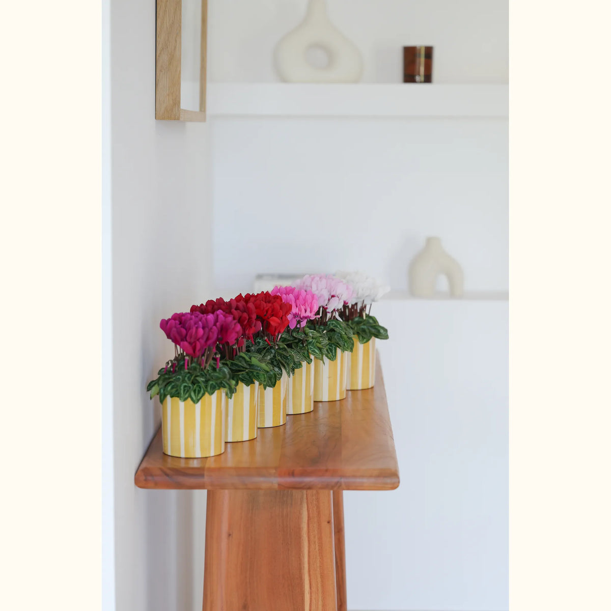 CYCL_MACARON_img_lstyle_06@aurelle.lphotographe-163.jpg
