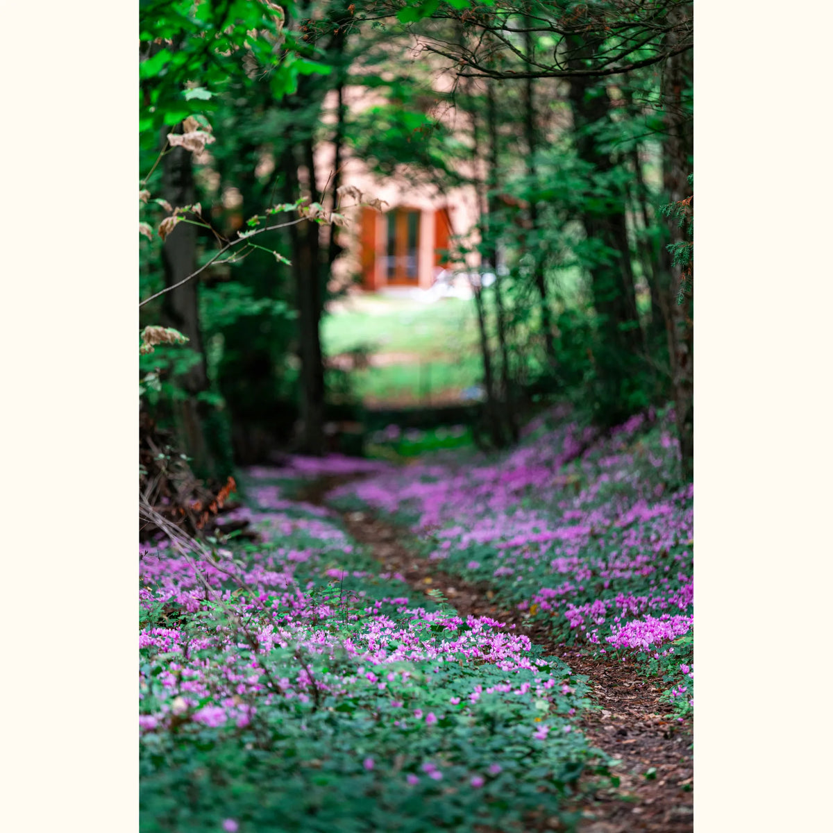 CYCL_botanical_landscape_02_@andreas-brun.jpg