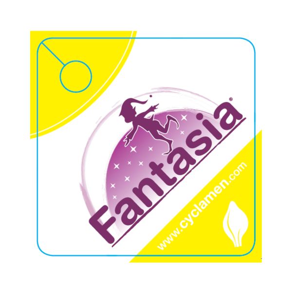 LATINIA® FANTASIA® Deep magenta