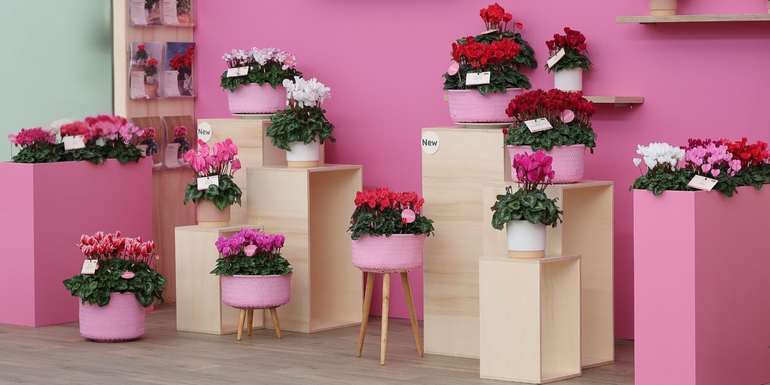 Invitation to FlowerTrials® 2026