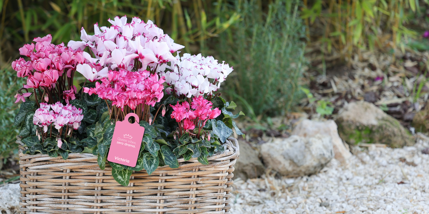 Your new label ordering experience starts here