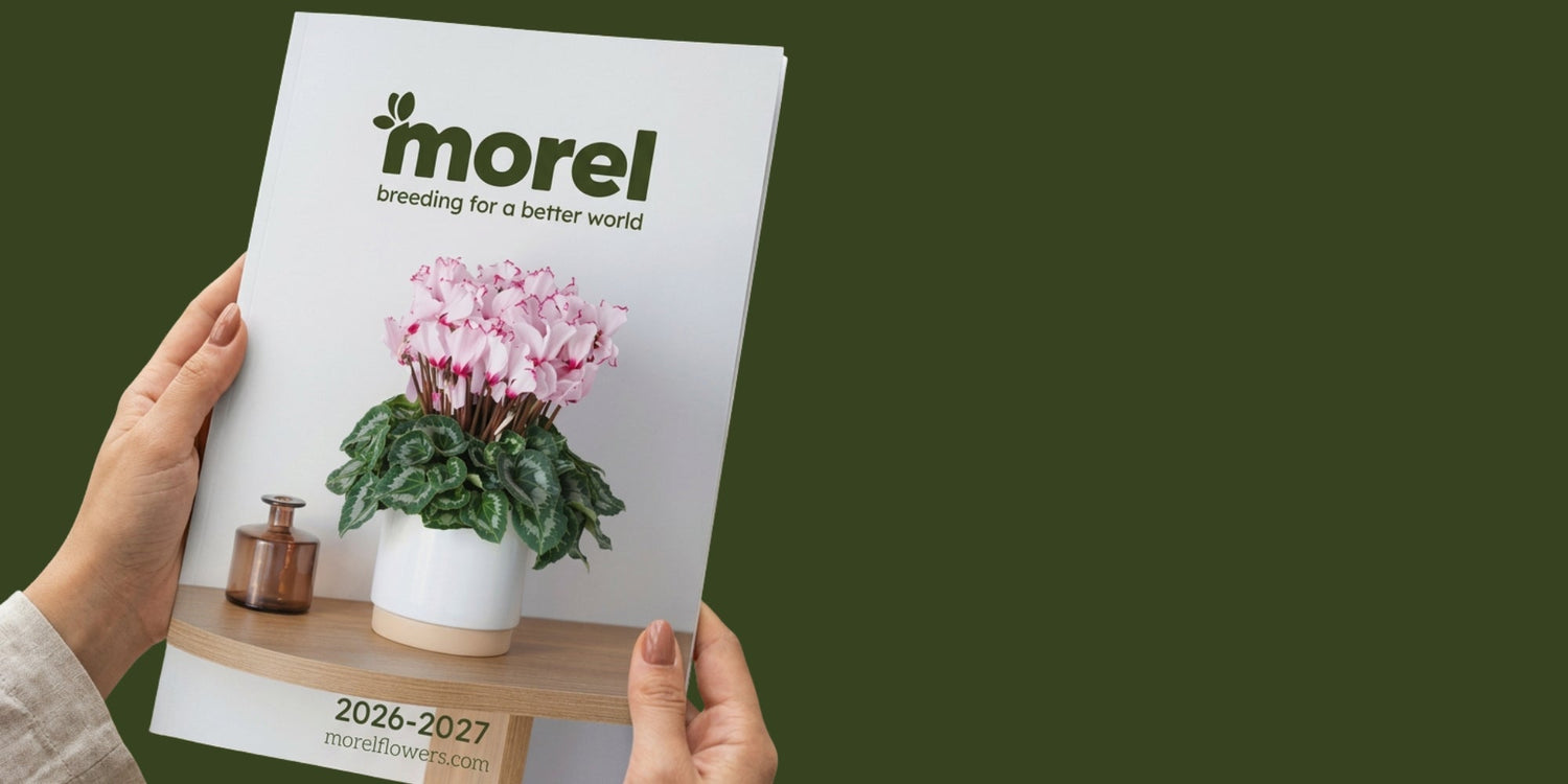 The new 2026–27 Catalog is here