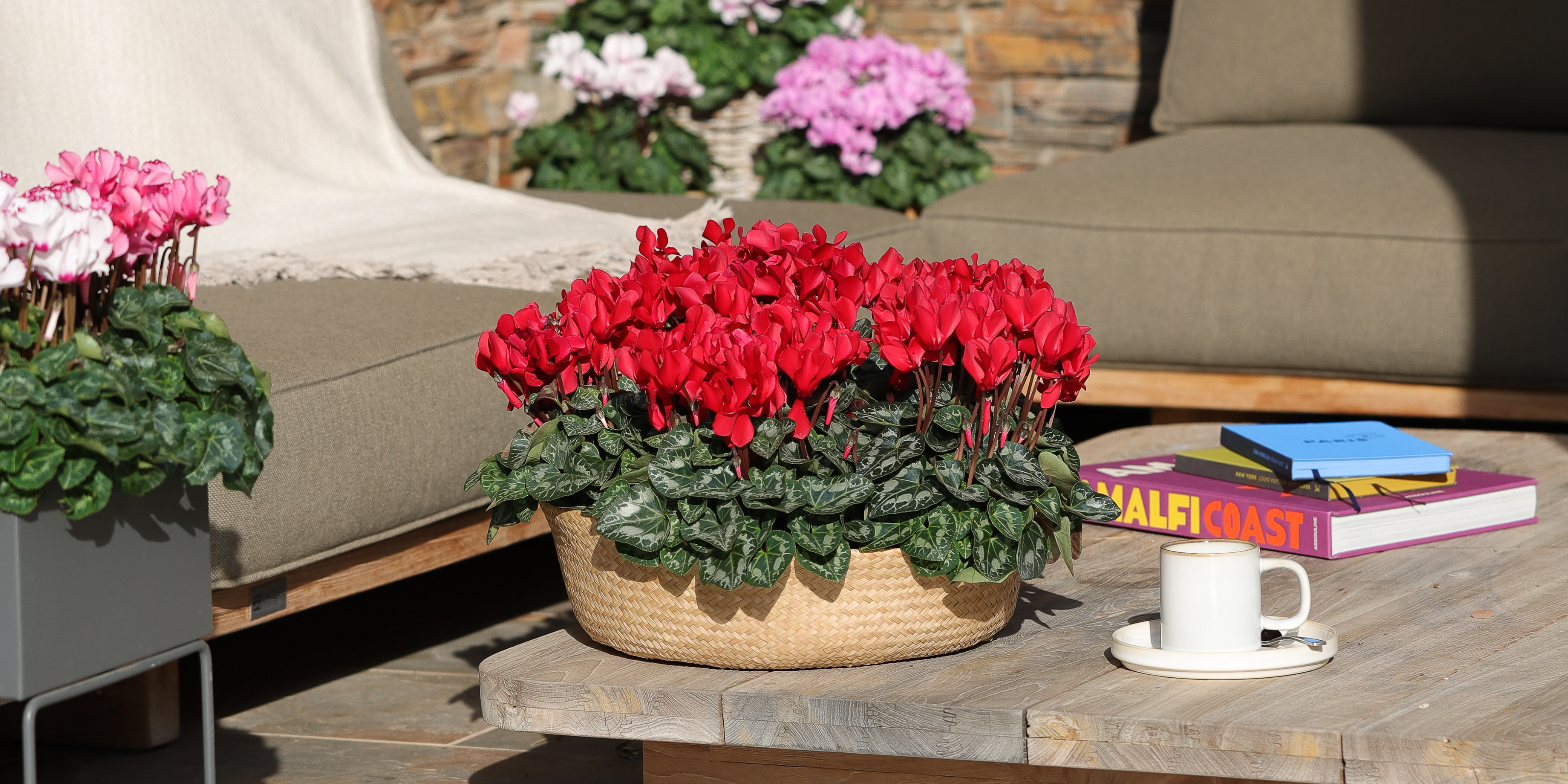 Something smart is growing