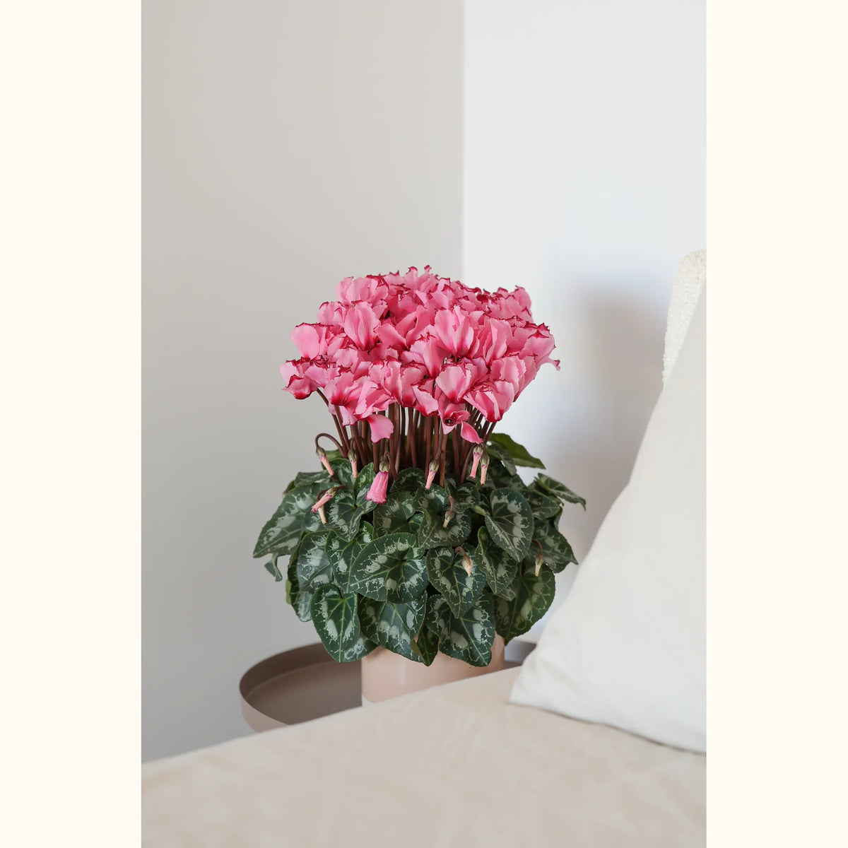 CYCL_100048_img_lstyle_@aurelle.lphotographe-099.jpg
