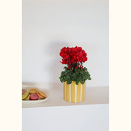 CYCL_100121_img_lstyle_01@aurelle.lphotographe-177.jpg