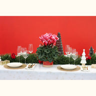 CYCL_100125_img_lstyle_@aurelle.lphotographe-360.jpg