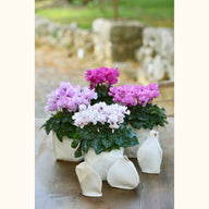CYCL_100237_img_lstyle_14.JPG