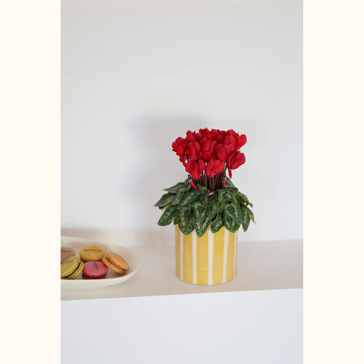 CYCL_100322_img_lstyle_01@aurelle.lphotographe-180.jpg