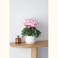CYCL_100334_img_lstyle_@aurelle.lphotographe-01.jpg