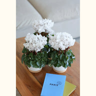 CYCL_100341_img_lstyle_@aurelle.lphotographe-29.jpg