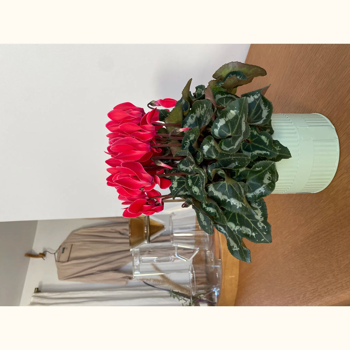 CYCL_100346_img_lstyle_02.JPG