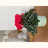 CYCL_100346_img_lstyle_02.JPG