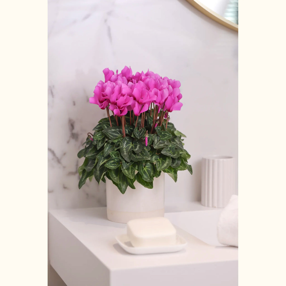 CYCL_100355_img_lstyle_03.jpg