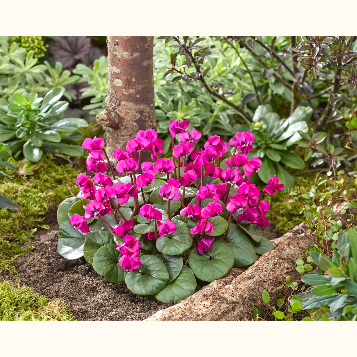 CYCL_100815_img_outd_01.jpg