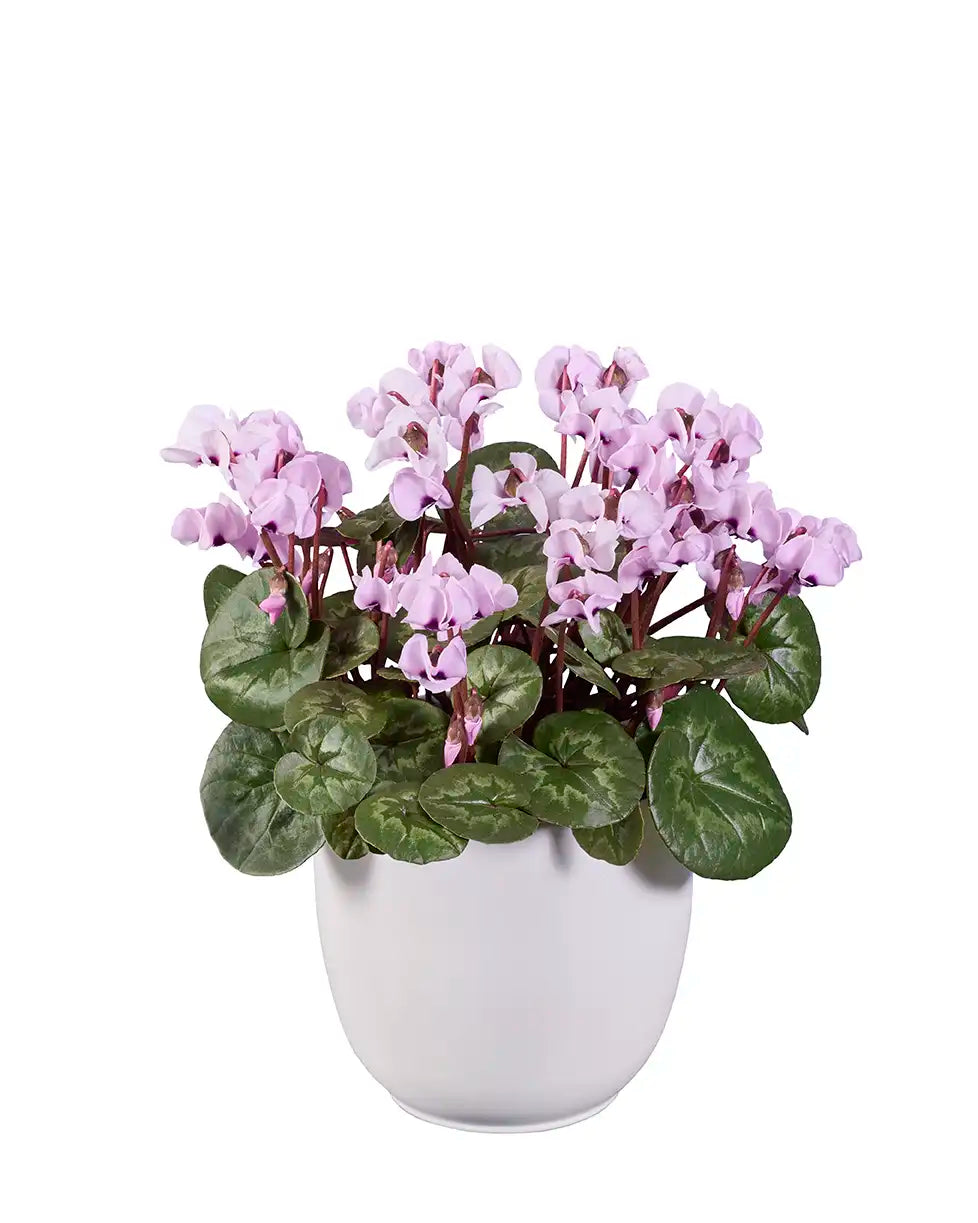 KOUMY® Light pink classic leaf