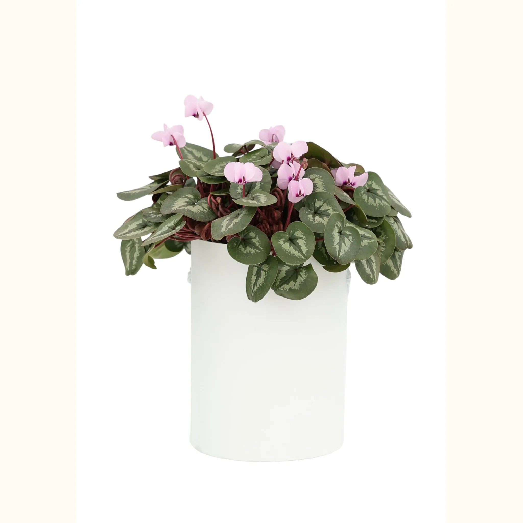 KOUMY® Light pink classic leaf