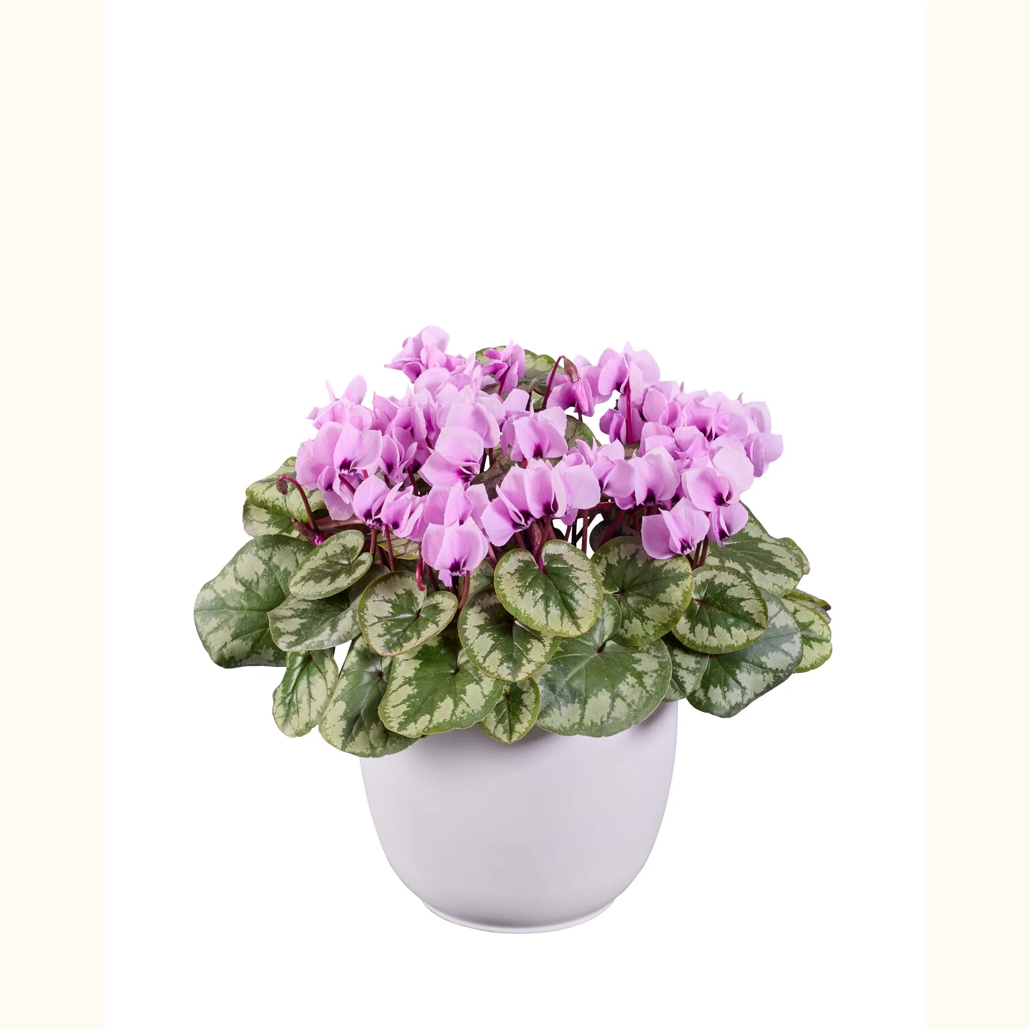KOUMY® Light pink marbled leaf