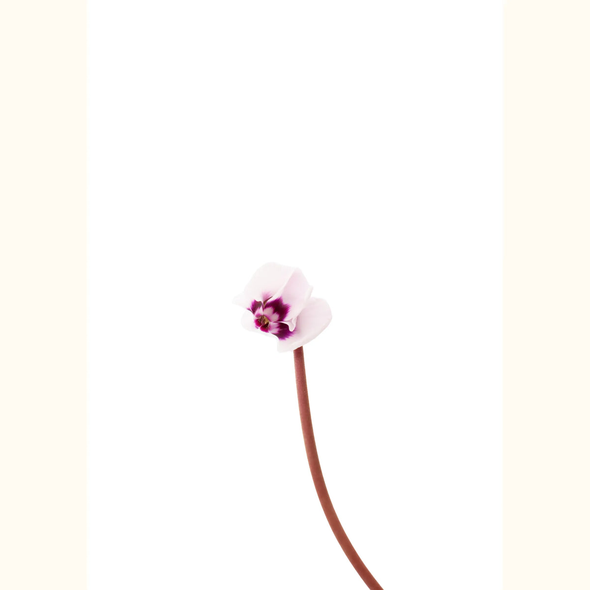 CYCL_101246_100839_img_flow_01.png