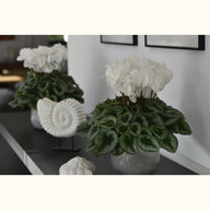 CYCL_2228_img_lstyle_03.JPG