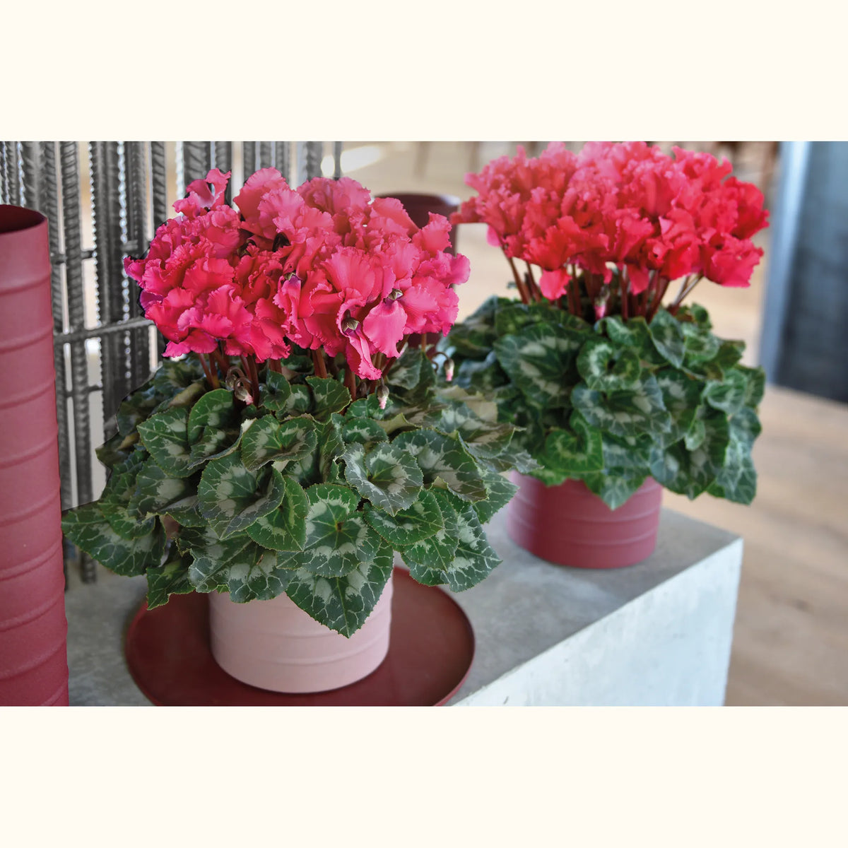 CYCL_2430_img_lstyle_03.png