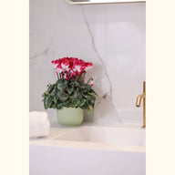 CYCL_43105_img_lstyle_01.jpg